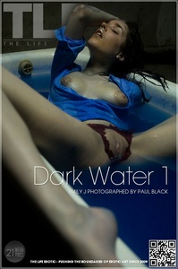 Permanent Link to 2012 06 09 DARK WATER 1 EMILY J