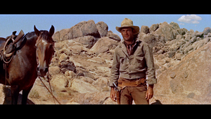 Samotny jeździec / Ride Lonesome (1959) MULTi.1080p.BluRay.REMUX.AVC.DTS-HD.MA.1.0-OK | Lektor i Napisy PL