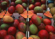 Урожай фруктов / Abundant Harvest of Fruit MEH30K_t