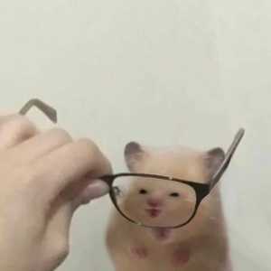 7tgAIlWD.jpg