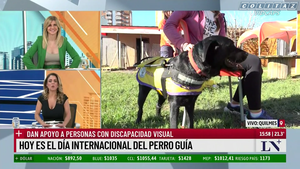 Debora.Plager.Saco.Verde.Marcando.Pechos.LN.1080P-Colitaz.54.png