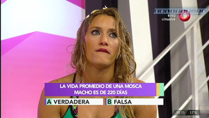 Mica.Viciconte.Huevos.Combate.1080P-ColitazTV.124.jpeg