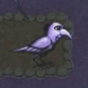 veH6zm0u.jpg
