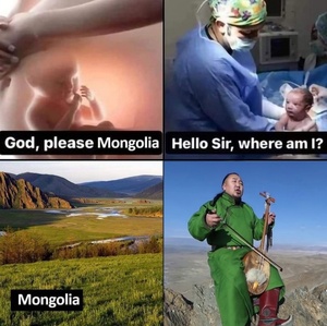 V0IIJVKI.jpg
