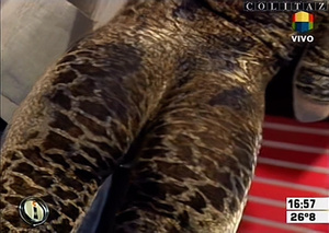 Colitaz-Nazarena.Velez.Catsuit.Leopardo.Vueltita.Intrusos.HQ.60FPS.55.jpeg