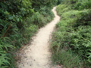 Tin Shui Wai Hiking 2023 - 頁 3 MEKNPNN_t