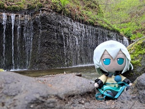 20250513_114449.jpg