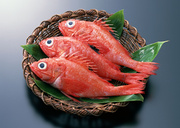 Свежая рыба / Fresh Fish MEGR83_t