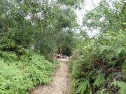 Hiking Tin Shui Wai 2023 July - 頁 2 MEPR0IL_t