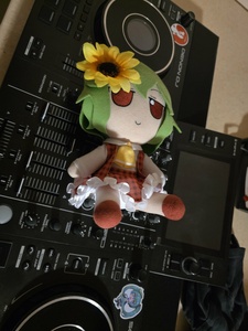 QYo0S1Jy.jpg