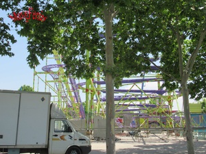 IMG_8072.jpg