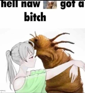 jcknrOVG.jpg