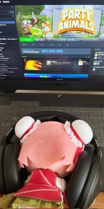 FXIXCrtN.jpg