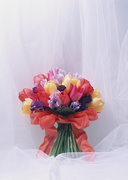 Праздничные цветы / Celebratory Flowers MEN9SJ_t