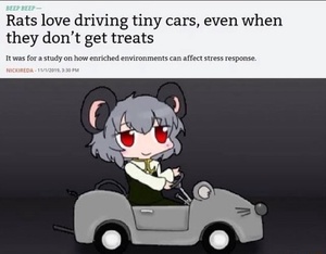G6Rn1Yqe.jpg