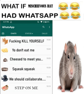 qsM0Cvoi.jpg