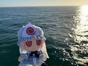 c3ur4W6L.jpg