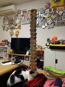 XXklTn62.jpg