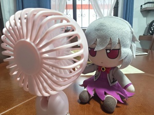 R8IYVLV5.jpg