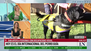 Debora.Plager.Saco.Verde.Marcando.Pechos.LN.1080P-Colitaz.57.png