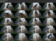 [Image: ME1DEMOI_t.jpg]