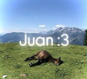 UuZmJrO2.jpg