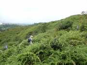 Hiking Tin Shui Wai 2023 July - 頁 2 MEPR1CO_t
