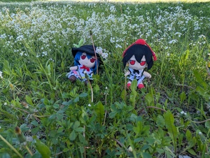 njaHsmCo.jpg