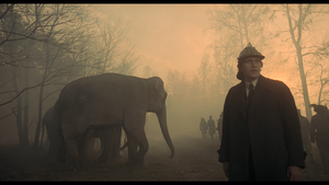 [Obrazek: MEQBN3D_t.png]