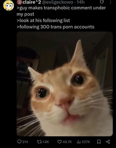 IDKiNztg.jpg