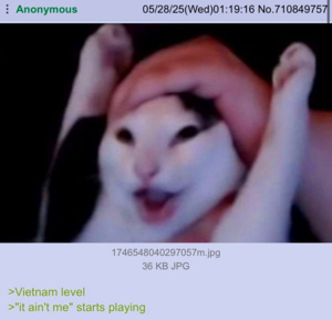 tONtw7L0.jpg