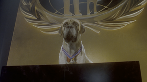 Movie cover image