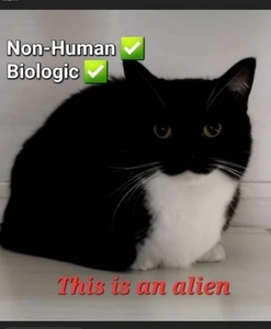 5BxvpRrH.jpg