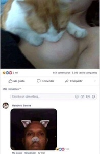 nHqe8Ap6.jpg
