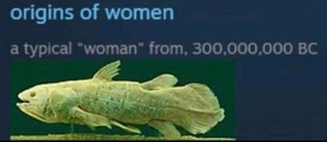 fmuomumK.jpg