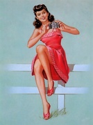 23331669_original.jpg