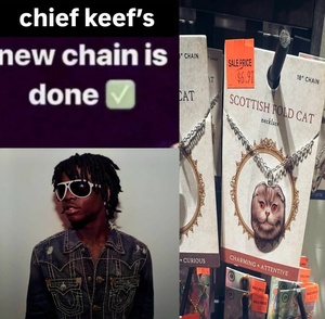 xRNCOTM6.jpg