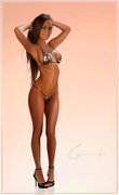 concealment_by_chipman1911_daicnm4-150.png