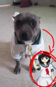 rWYdMbBy.jpg