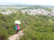 Hiking Tin Shui Wai 2023 July - 頁 2 MEP82BR_t