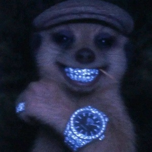 7HOAeWaX.jpg