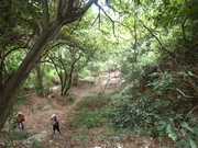 Hiking Tin Shui Wai 2023 July - 頁 2 MEPR0IE_t