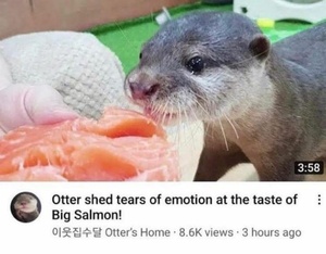 hYqoYcr2.jpg