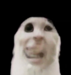 Ech4LXYa.jpg