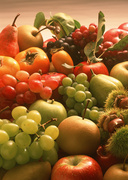Урожай фруктов / Abundant Harvest of Fruit MEH2YC_t