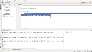 Объектно-ориентированное программирование на Python (2022) Видеокурс