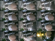 [Image: ME17WQF8_t.jpg]