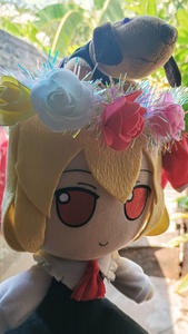 aQNQooY0.jpg