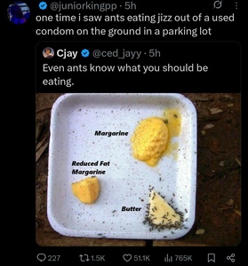 o0qN6vfi.jpg