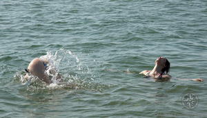 [Image: ME14KN10_t.jpg]